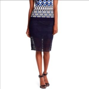 Cupcakes and Cashmere Blue Derry Skirt